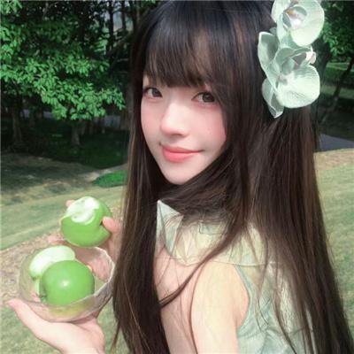 星蝶公主第四季