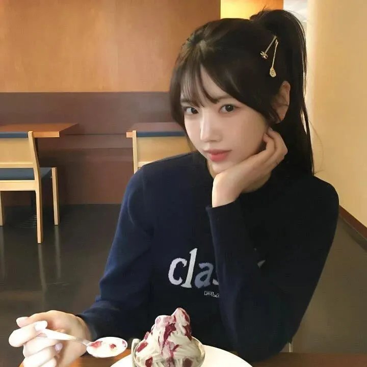 狮子护卫队第二季